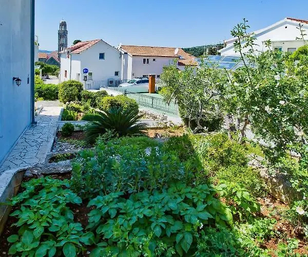 Apartment Jacky Hvar Town