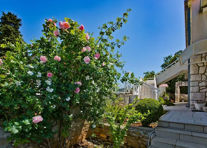 公寓 Jacky 赫瓦尔